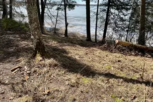 Tbd N Courage Dr (Lot 1), Lake George Township, MN 56458 - Photo 31