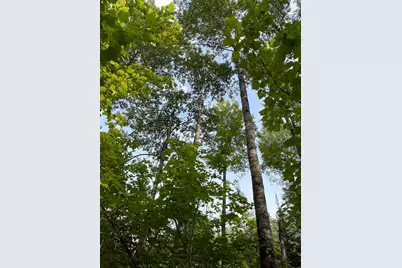 Tbd S Lost Lake Road, Hovland, MN 55606 - Photo 5