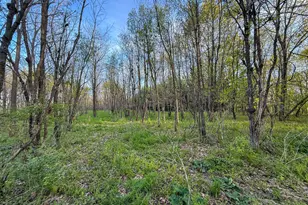 3351 County Road 7 NE, Dover, MN 55929 - Photo 101