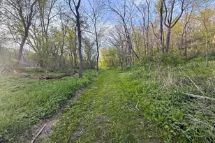 3351 County Road 7 NE, Dover, MN 55929 - Photo 85