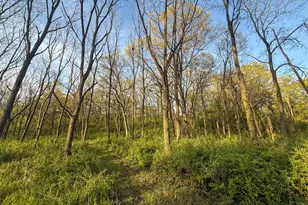3351 County Road 7 NE, Dover, MN 55929 - Photo 83