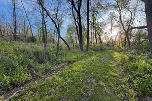 3351 County Road 7 NE, Dover, MN 55929 - Photo 97