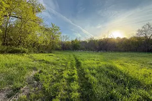 3351 County Road 7 NE, Dover, MN 55929 - Photo 95