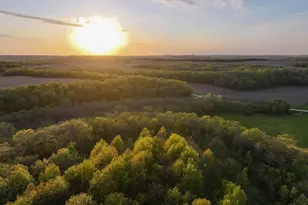 3351 County Road 7 NE, Dover, MN 55929 - Photo 75