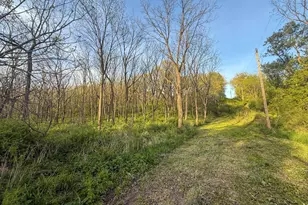 3351 County Road 7 NE, Dover, MN 55929 - Photo 81