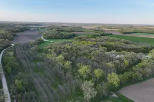 3351 County Road 7 NE, Dover, MN 55929 - Photo 67
