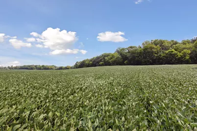 24X2 Holy Name Drive, Medina, MN 55340 - Photo 11