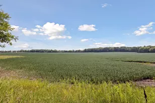 24X2 Holy Name Dr, Medina, MN 55340 - Photo 1