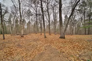 951 Swede Lake Trail SW, Backus, MN 56435 - Photo 35