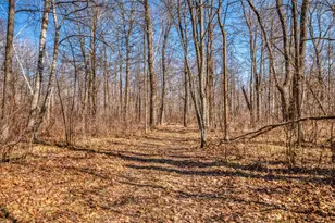 43522 US-71, Bemidji, MN 56461 - Photo 39
