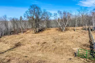 43522 US-71, Bemidji, MN 56461 - Photo 9