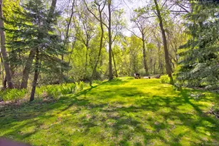 236 Pine St N, Lester Prairie, MN 55354 - Photo 49