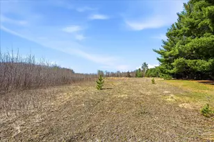 37324 Heritage Way, North Branch, MN 55056 - Photo 101