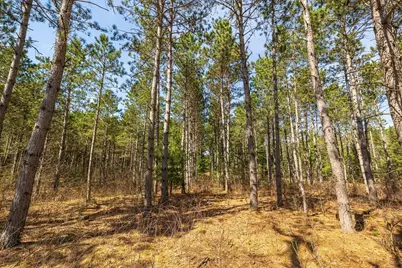 0 Prairie Road E, Osseo, WI 54758 - Photo 5