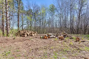 6730 165th St N, Hugo, MN 55038 - Photo 25