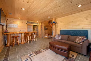 51748 Pine Point Ln, Bigfork, MN 56628 - Photo 41