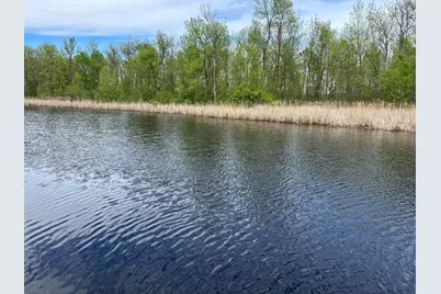 54654 Highway 72 NE, Waskish, MN 56685 - Photo 5