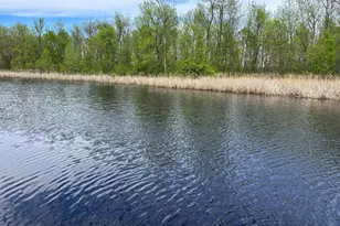 54654 Hwy 72 NE, Waskish, MN 56685 - Photo 5