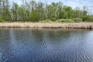 54654 Hwy 72 NE, Waskish, MN 56685 - Photo 43