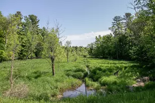 52371 Balsam Ave W, Stanchfield, MN 55080 - Photo 49