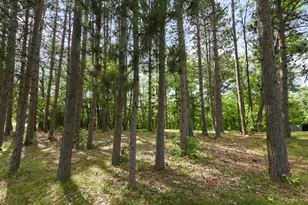 25734 Peavy Trail, Hillman, MN 56338 - Photo 33