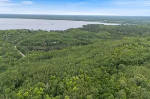 Tbd "Lot A" Co Rd 533, Effie, MN 56639 - Photo 1