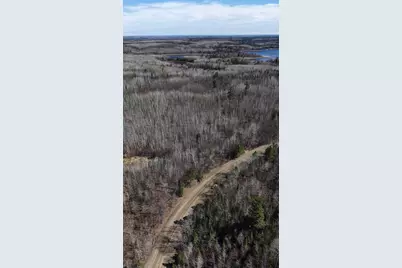 Tbd "Lot A" Co Rd 533, Effie, MN 56639 - Photo 5
