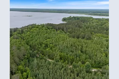 Tbd "Lot C" County Road 533, Effie, MN 56639 - Photo 1