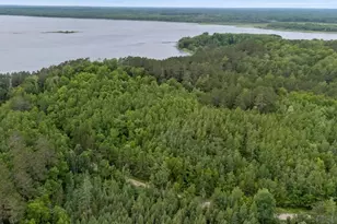 Tbd "Lot C" County Road 533, Effie, MN 56639 - Photo 1