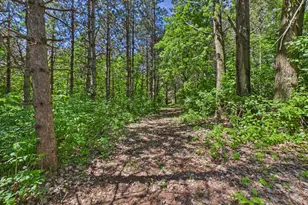 38739 Co Rd 10, Albany, MN 56307 - Photo 47