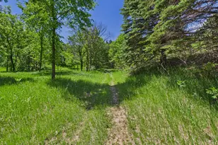 38739 Co Rd 10, Albany, MN 56307 - Photo 49