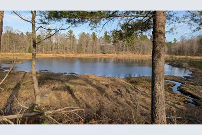 29228 Honkers Hollow, Danbury, WI 54830 - Photo 5