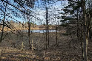 Tbd Honkers Hollow, Danbury, WI 54830 - Photo 1