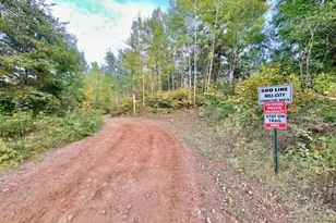 360 Quadna Mountain Rd, Hill City, MN 55748 - Photo 23