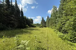 8124 Virginia Ely Rd, Babbitt, MN 55706 - Photo 91