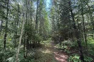 8124 Virginia Ely Rd, Babbitt, MN 55706 - Photo 97