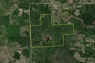 8124 Virginia Ely Rd, Babbitt, MN 55706 - Photo 101
