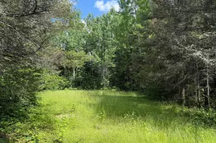 8124 Virginia Ely Rd, Babbitt, MN 55706 - Photo 99