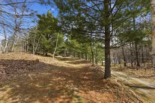22019 Whitetail Dr, Emily, MN 56447 - Photo 31