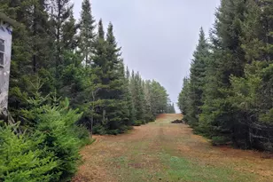 Tbd Timber Wolf Trail SW, Pine River, MN 56435 - Photo 1