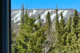 21 Turnagain Trl, Lutsen Township, MN 55612 - Photo 33