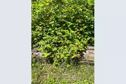 [Address not provided], Red Wing, MN 55066 - Photo 11