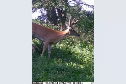 [Address not provided], Red Wing, MN 55066 - Photo 15