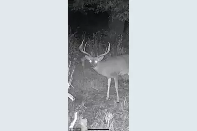 [Address not provided], Red Wing, MN 55066 - Photo 19