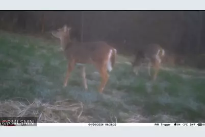 [Address not provided], Red Wing, MN 55066 - Photo 21