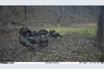 [Address not provided], Red Wing, MN 55066 - Photo 13