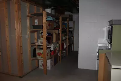 1617 Alvina Street, Red Wing, MN 55066 - Photo 53
