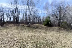 39161 County 39, Laporte, MN 56461 - Photo 89