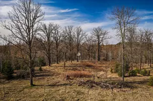 39161 County 39, Laporte, MN 56461 - Photo 29