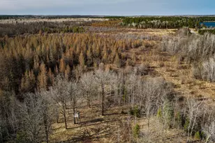 39161 County 39, Laporte, MN 56461 - Photo 27